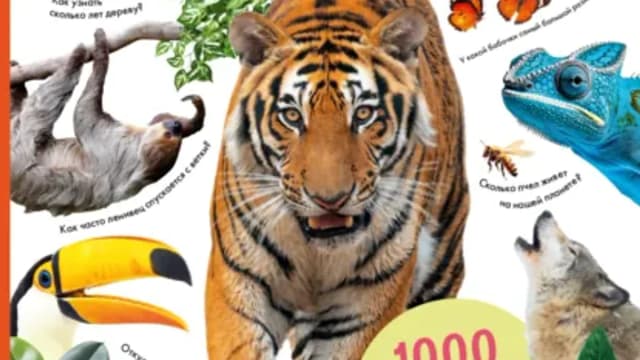 Обложка курса: 100 тысяч почему на каждый день. Природа [Кристина Банфи]. Площадка: Складчик