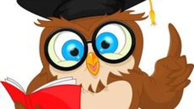 Обложка курса «2 класс русский язык» на Stepik