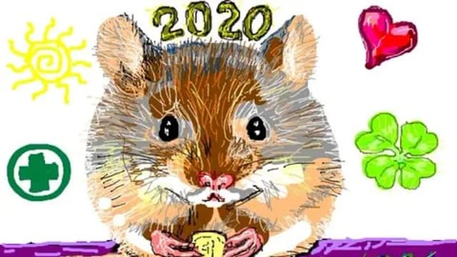 Обложка курса: 2020 год золотой крысы (Снежана Тихонова). Площадка: Складчина.biz