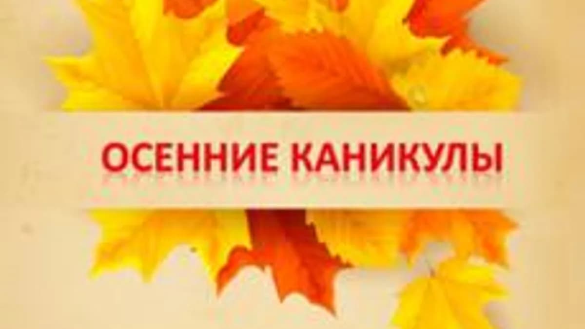 Обложка курса «6 класс на каникулах.» на Stepik