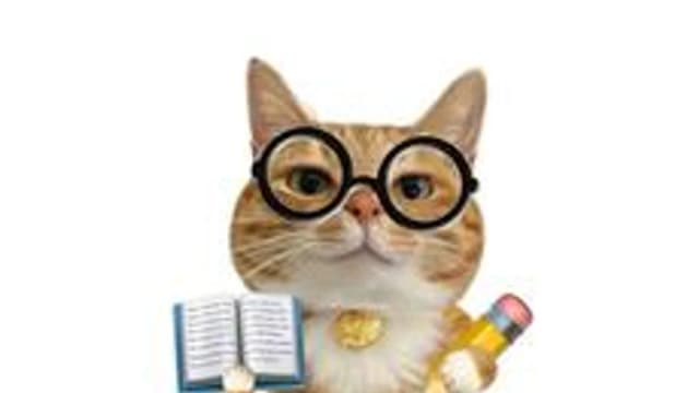 Обложка курса «ABCat» на Stepik