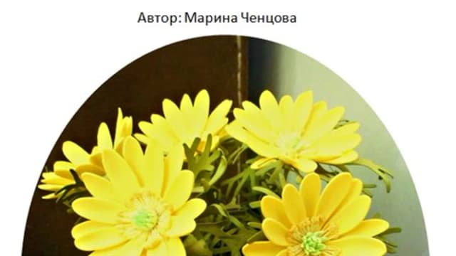 Обложка курса: Адонис (Марина Ченцова). Площадка: Складчина.biz