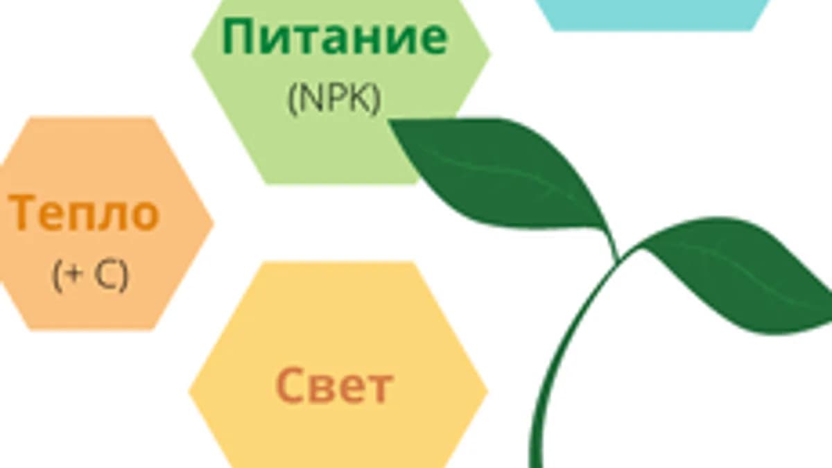 Обложка курса «АГРОБИОЛОГИЧЕСКИЕ ОСНОВЫ РАСТЕНИЕВОДСТВА» на Stepik