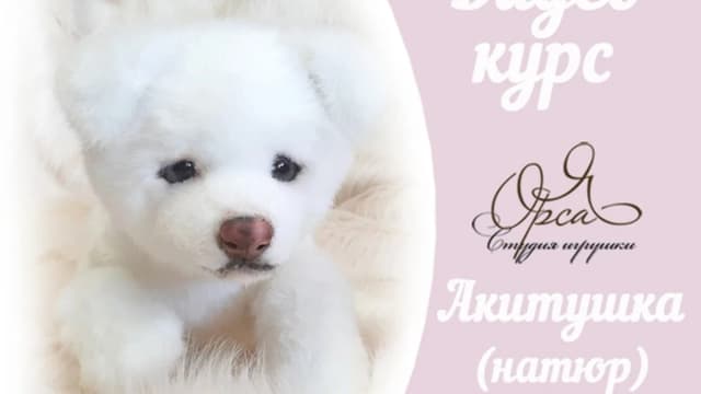 Обложка курса: Акитушка (Янина Орса). Площадка: Складчина.biz