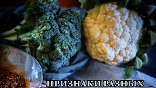 Обложка курса: Актуальные схемы от актуальных болезней (Айгуль Султанбек). Площадка: Складчина.biz