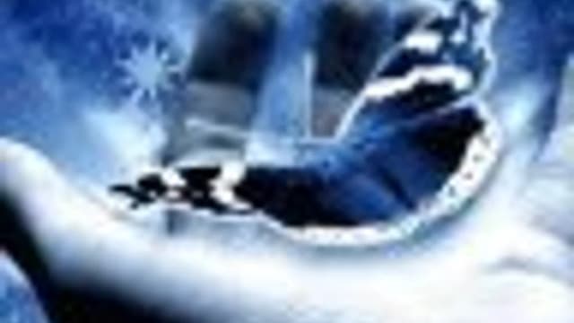 Обложка курса: Анатомия человека [Аркадий Романихин]. Площадка: Складчик