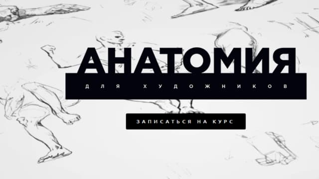 Обложка курса: Анатомия для Художников [CG LAB] [Леонид Илюхин]. Площадка: Складчик