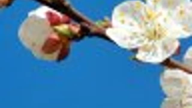 Обложка курса: Антистресс 2. Площадка: Складчик