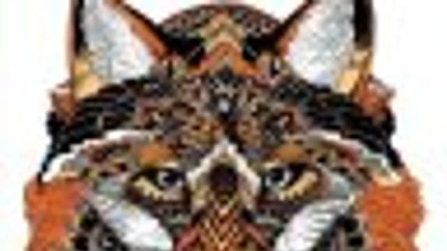 Обложка курса: AutoSnab3D и Tehnotronic8. Площадка: Складчик