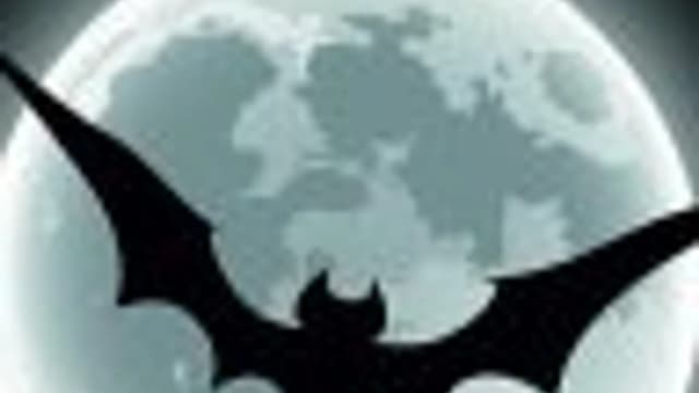 Обложка курса: Автоматизация функционального тестирования. Площадка: Складчик