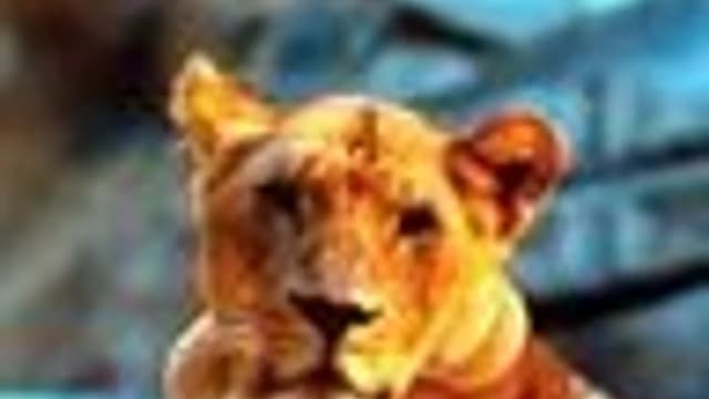 Обложка курса: Бацзы проблемы деторождения. Площадка: Складчик