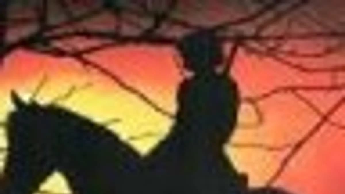 Обложка курса: База синонимов украинского языка. Площадка: Складчик