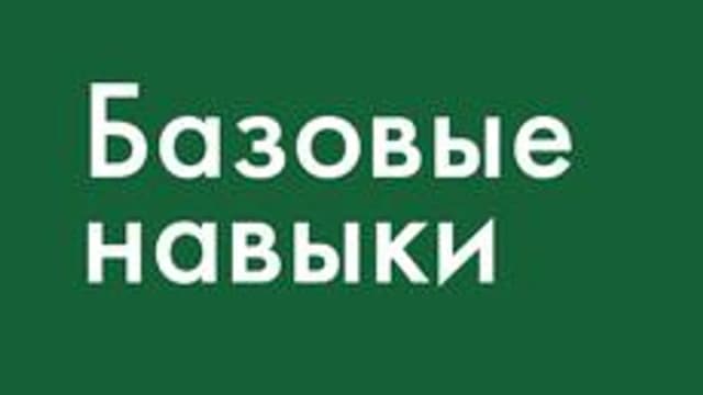 Обложка курса «Базовые навыки Excel» на Stepik