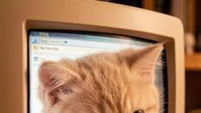 Обложка курса «Базовый курс «Введение в HTML: создание своего сайта с нуля»» на Stepik