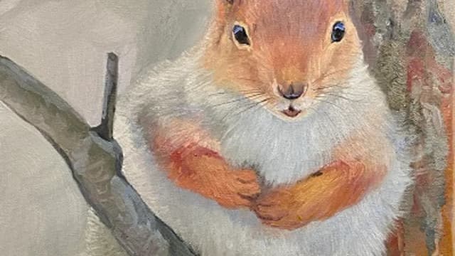 Обложка курса: Белочка [Игорь Сахаров]. Площадка: Складчик