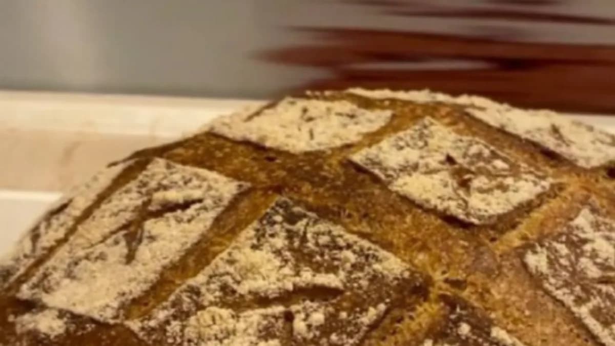 Обложка курса: Белый хлеб [Xleb.tartin]. Площадка: Складчик