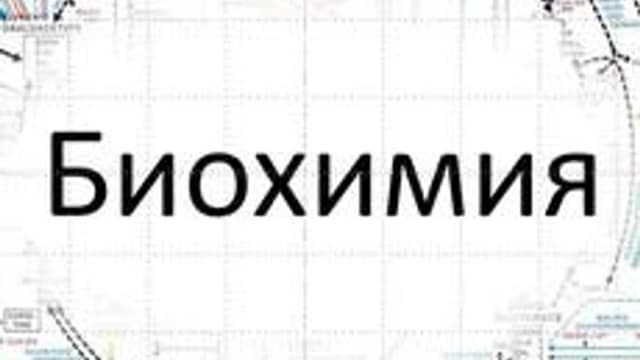 Обложка курса «Биохимия» на Stepik