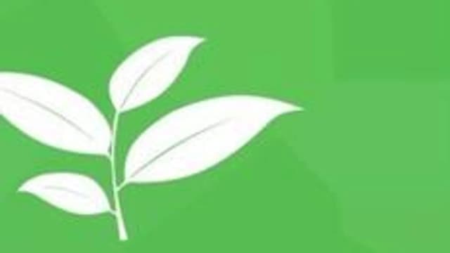 Обложка курса «Биология» на Stepik