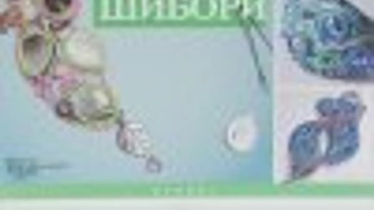 Обложка курса: Бижутерия, книги. Площадка: Складчик