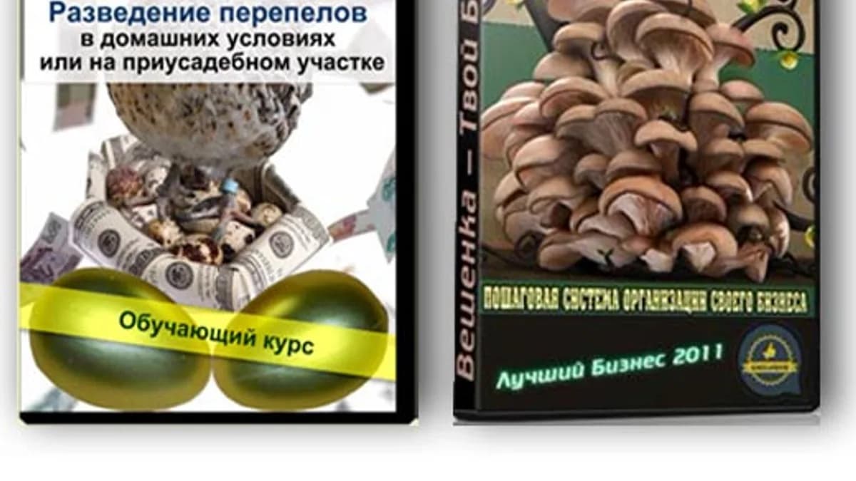 Обложка курса: Бизнес по выращиванию грибов вешенка. Площадка: Складчик