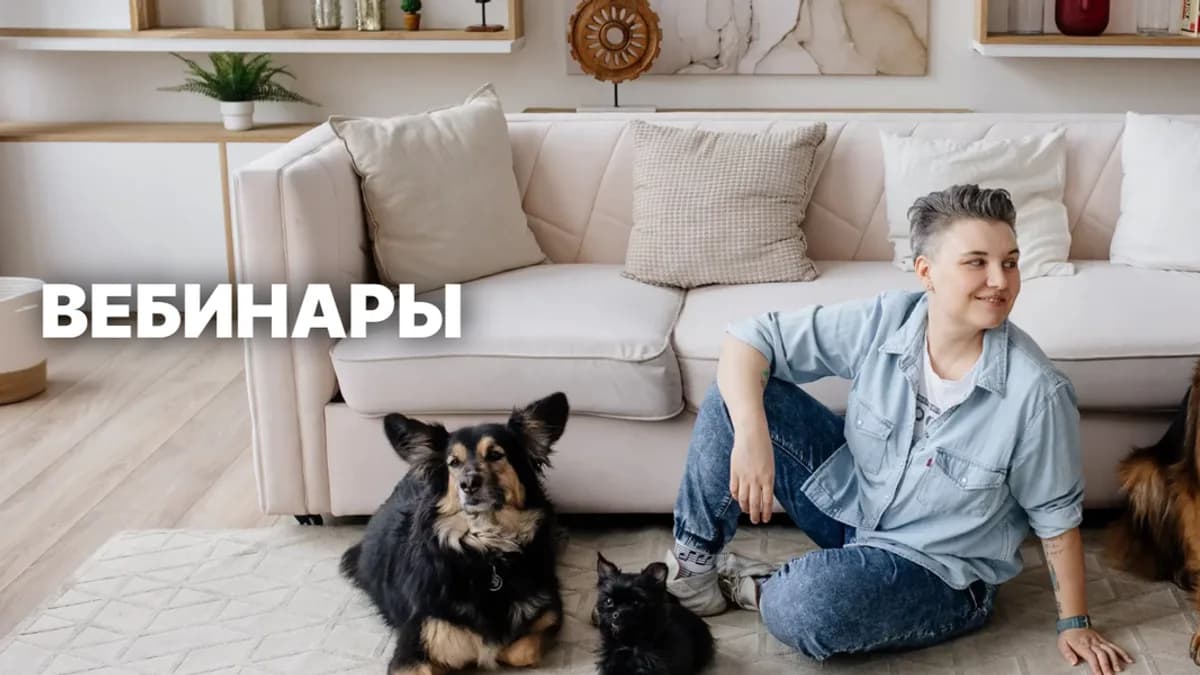 Обложка курса: Блок из 6 платных вебинаров [БО.big] [Анастасия Бобкова]. Площадка: Складчик