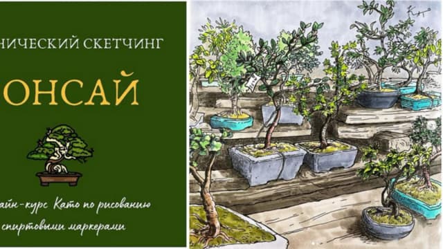 Обложка курса: Бонсай [Екатерина (Като) Иванникова]. Площадка: Складчик