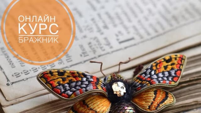 Обложка курса: Бражник [Наталья Науменко]. Площадка: Складчик