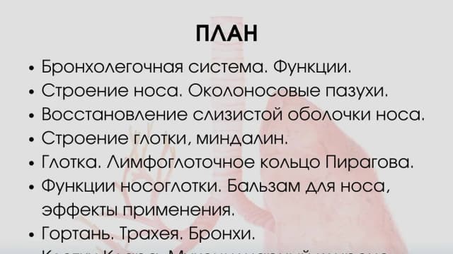 Обложка курса: Бронхолегочная система. [Жанар Кадырбекова]. Площадка: Складчик