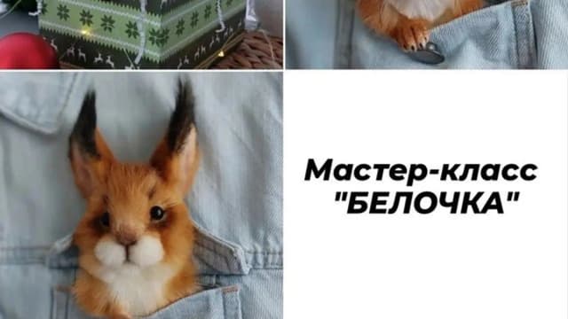Обложка курса: Брошь Белочка (Марина Грубер). Площадка: Складчина.biz