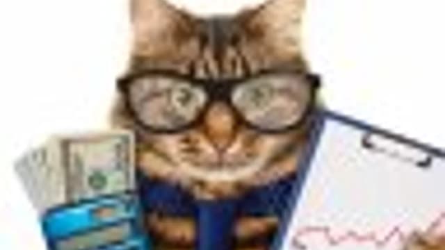 Обложка курса: Бухбатл 2021. Площадка: Складчик