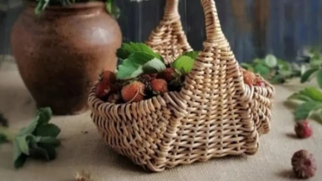 Обложка курса: [Бумажная лоза] Совместник Корзина [Татьяна Гуляева]. Площадка: Складчик