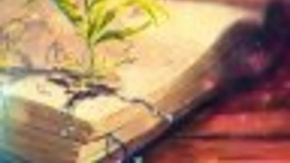 Обложка курса: Бытие (транскрибация+видеозапись)[Lee]. Площадка: Складчик