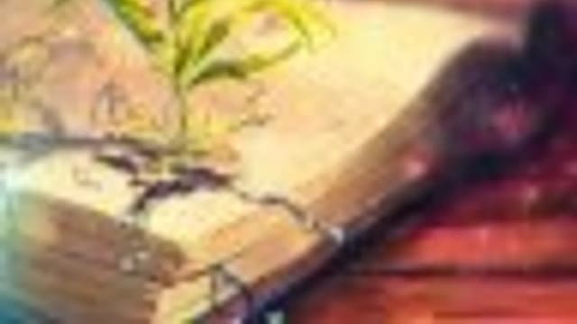 Обложка курса: Бытие (транскрибация+видеозапись)[Lee]. Площадка: Складчик