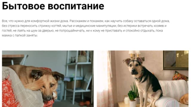 Обложка курса: Бытовое воспитание [Pi-Bo] [Надя Пигарева, Оксана Тюльпинова]. Площадка: Складчик
