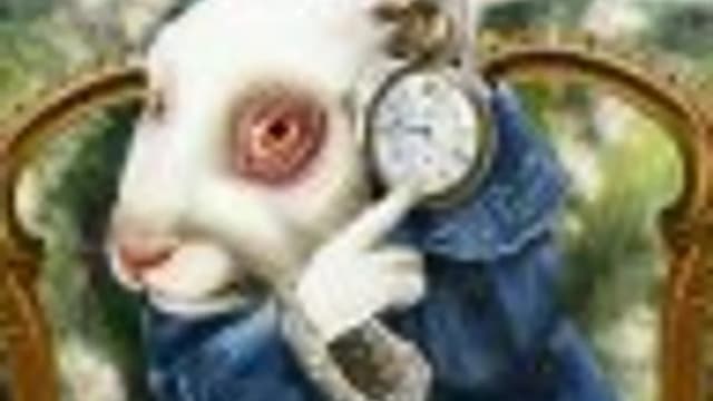 Обложка курса: Бюджетная Европа: Черногория. Площадка: Складчик