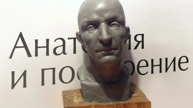 Обложка курса: Бюст (Лепка,анатомия). Площадка: Складчик