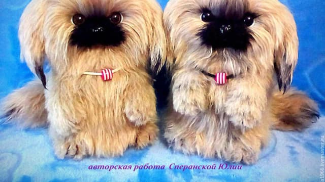Обложка курса: Чапа (Юлия Сперанская). Площадка: Складчина.biz