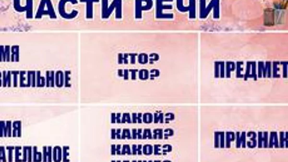 Обложка курса «Части речи» на Stepik