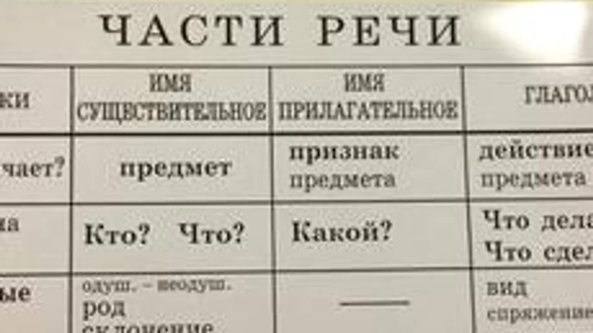 Обложка курса «Части речи» на Stepik