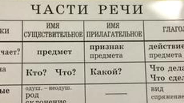 Обложка курса «Части речи» на Stepik