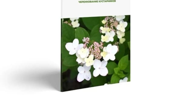 Обложка курса: Черенкование кустарников [Ольга Красулина]. Площадка: Складчик