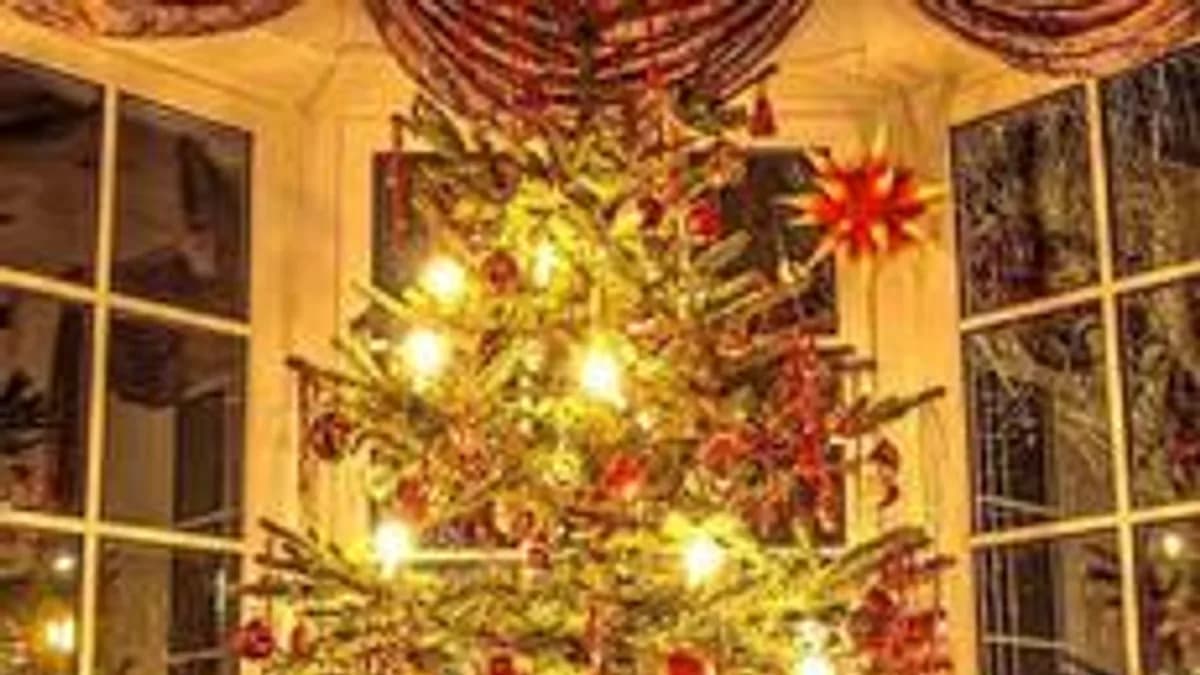 Обложка курса «Christmas» на Stepik