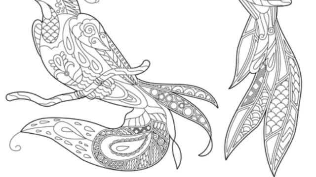 Обложка курса: Coloring Book Pro (Анна Тюхменёва). Площадка: Складчина.biz