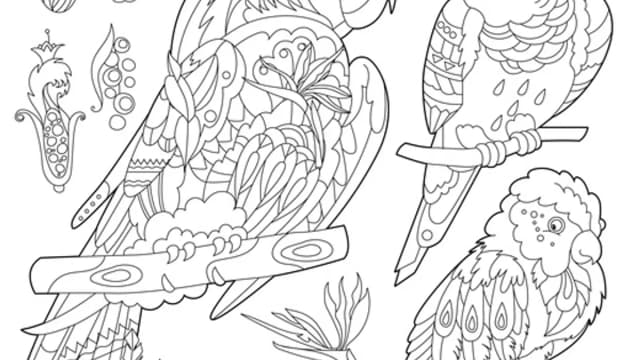 Обложка курса: Coloring Book Pro (коммерческие раскраски) [Анна Тюхменёва]. Площадка: Складчик