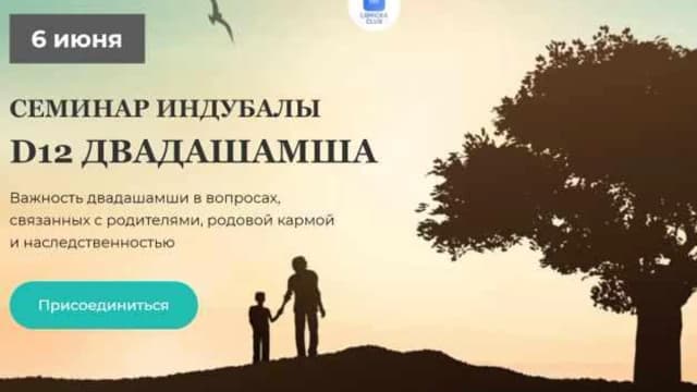 Обложка курса: D12 Двадашамша (Индубала). Площадка: Складчина.biz