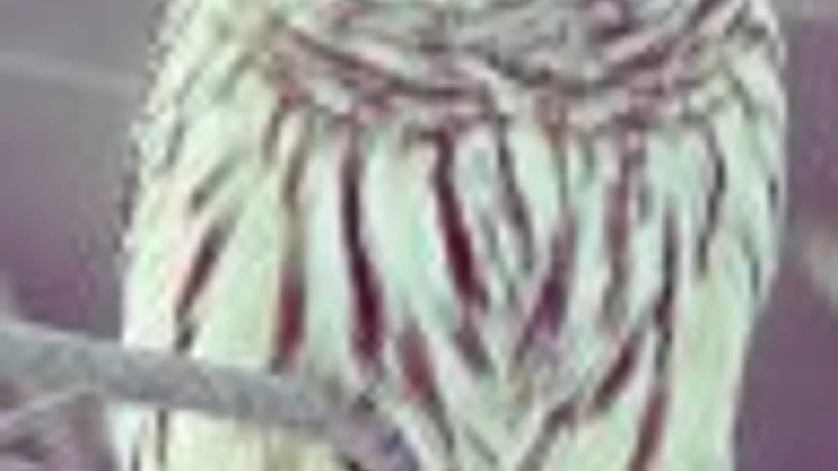 Обложка курса: [Декупаж] Ежедневник [Екатерина Васильева]. Площадка: Складчик