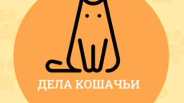 Обложка курса «Дела кошачьи. Проблемы с лотком и что с этим делать» на Stepik