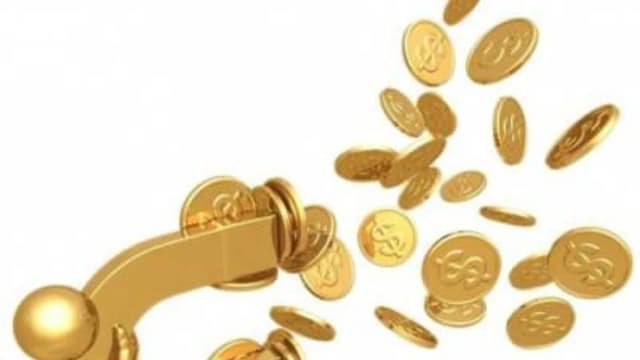 Обложка курса: Денежный магнит (Елена Мирная). Площадка: Складчина.biz