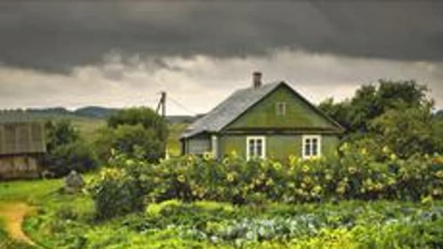 Обложка курса «Деревня в русской литературе» на Stepik