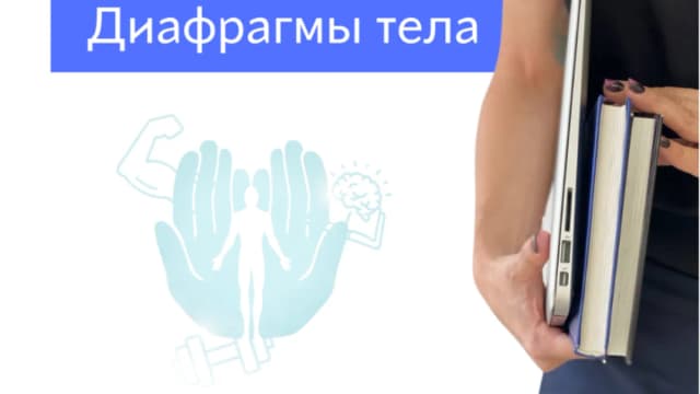 Обложка курса: Диафрагмы тела [Резеда Хакимзянова]. Площадка: Складчик